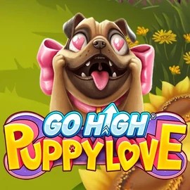 Go High Puppy Love online game logo by RubyPlay on casinospinsy.eu